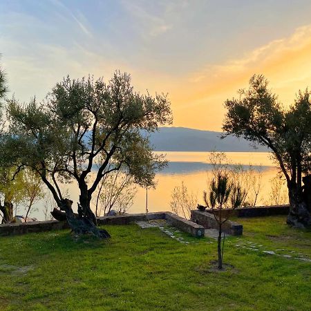 Seafront Traditional Stone House In Sunset Olive Grove - B Villa Alyfanta Exteriör bild