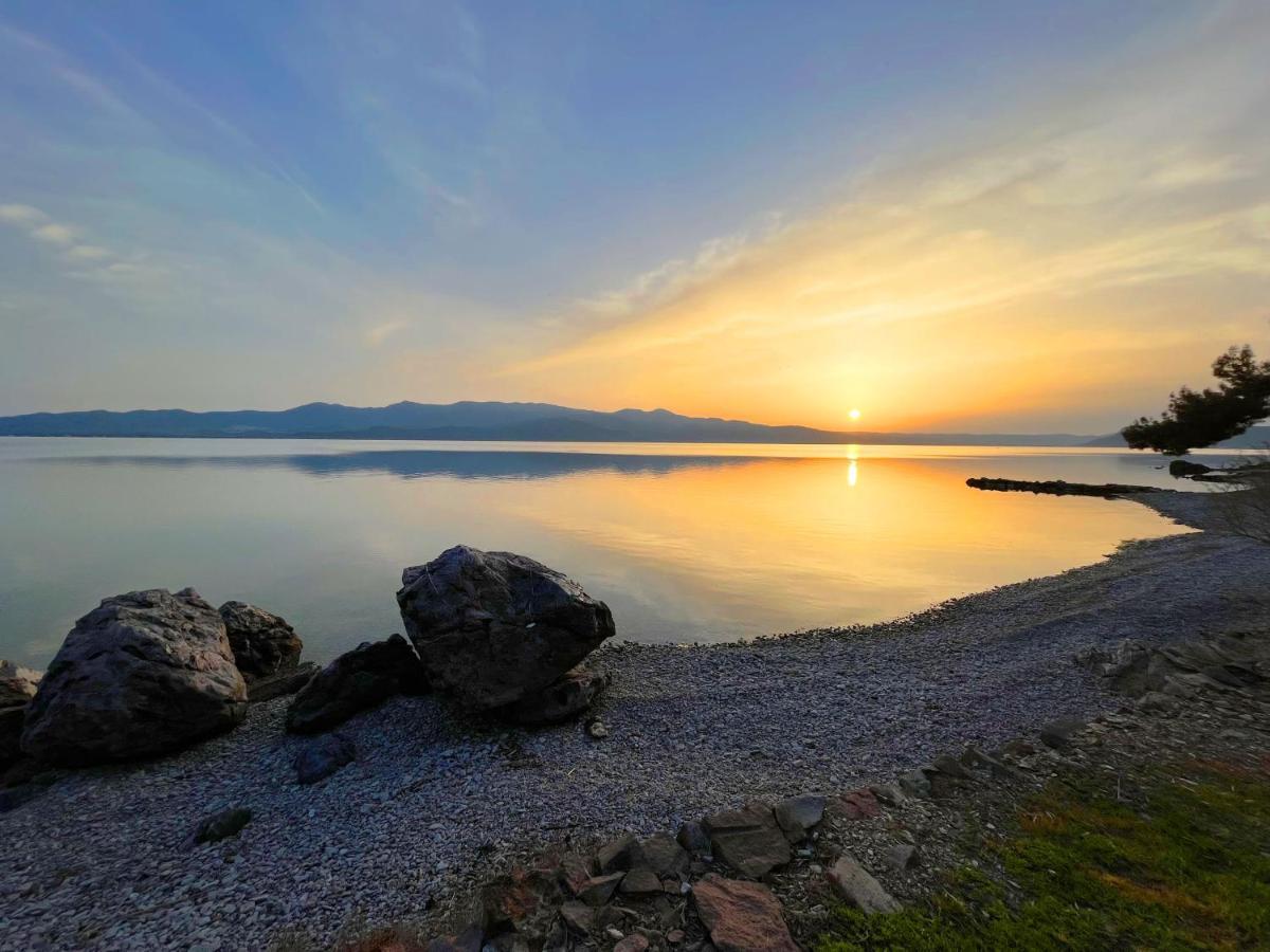 Seafront Traditional Stone House In Sunset Olive Grove - B Villa Alyfanta Exteriör bild