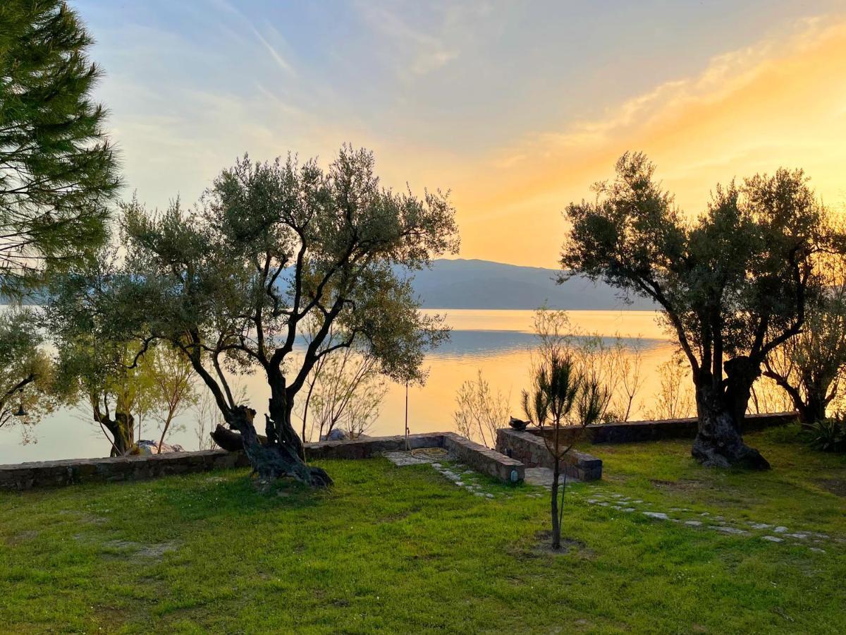 Seafront Traditional Stone House In Sunset Olive Grove - B Villa Alyfanta Exteriör bild