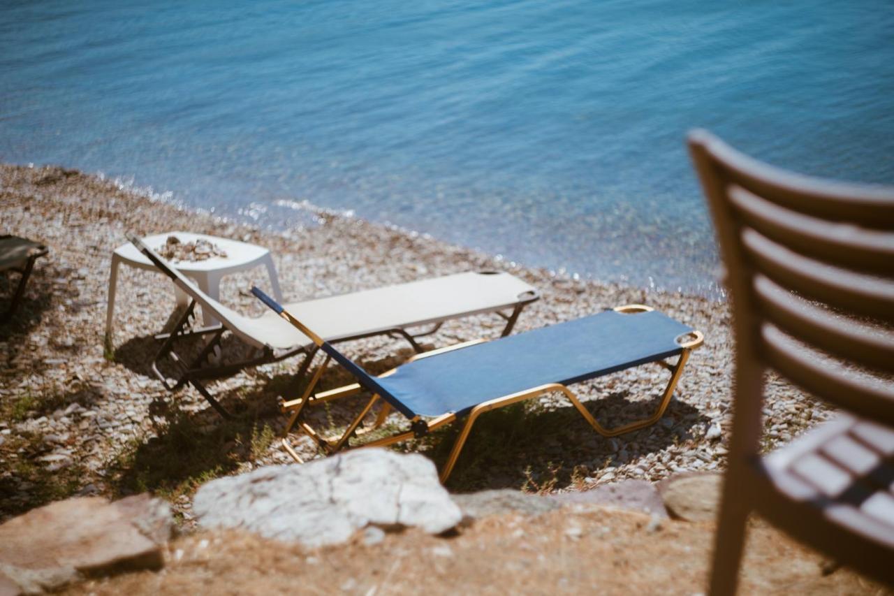 Seafront Traditional Stone House In Sunset Olive Grove - B Villa Alyfanta Exteriör bild