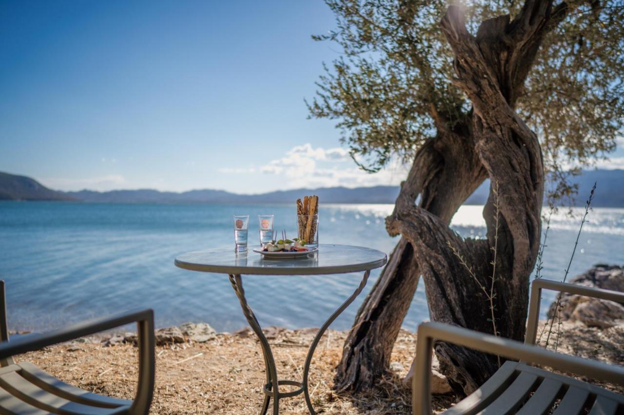 Seafront Traditional Stone House In Sunset Olive Grove - B Villa Alyfanta Exteriör bild