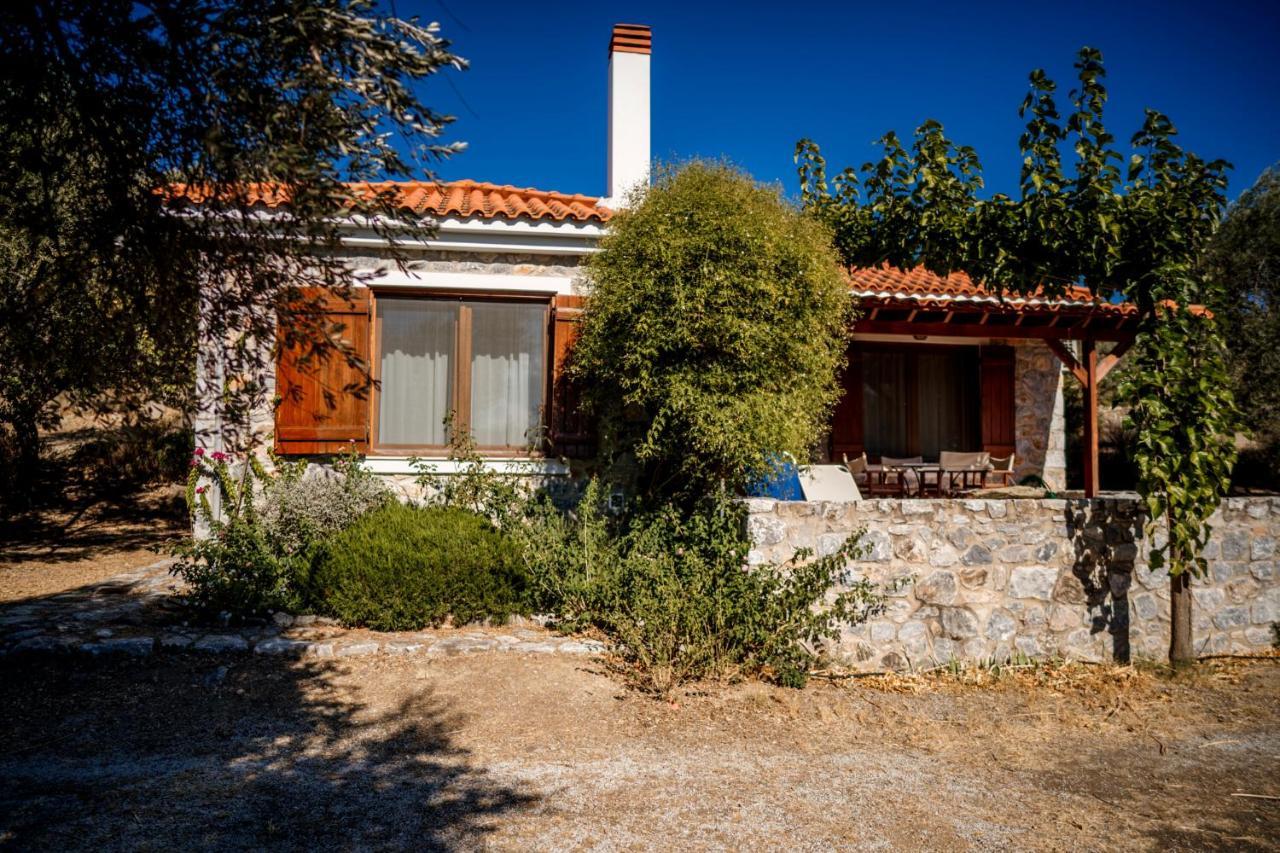 Seafront Traditional Stone House In Sunset Olive Grove - B Villa Alyfanta Exteriör bild