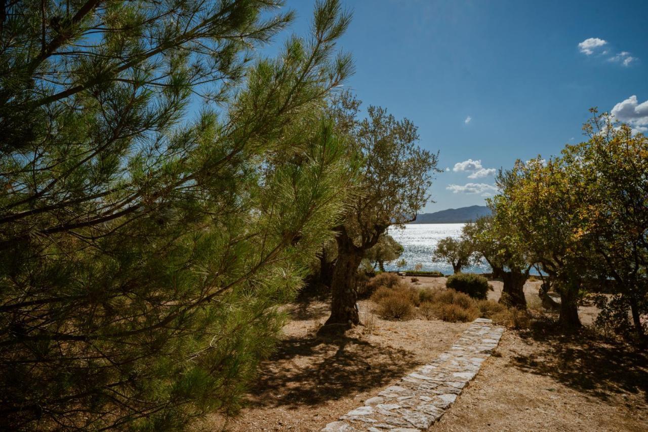 Seafront Traditional Stone House In Sunset Olive Grove - B Villa Alyfanta Exteriör bild