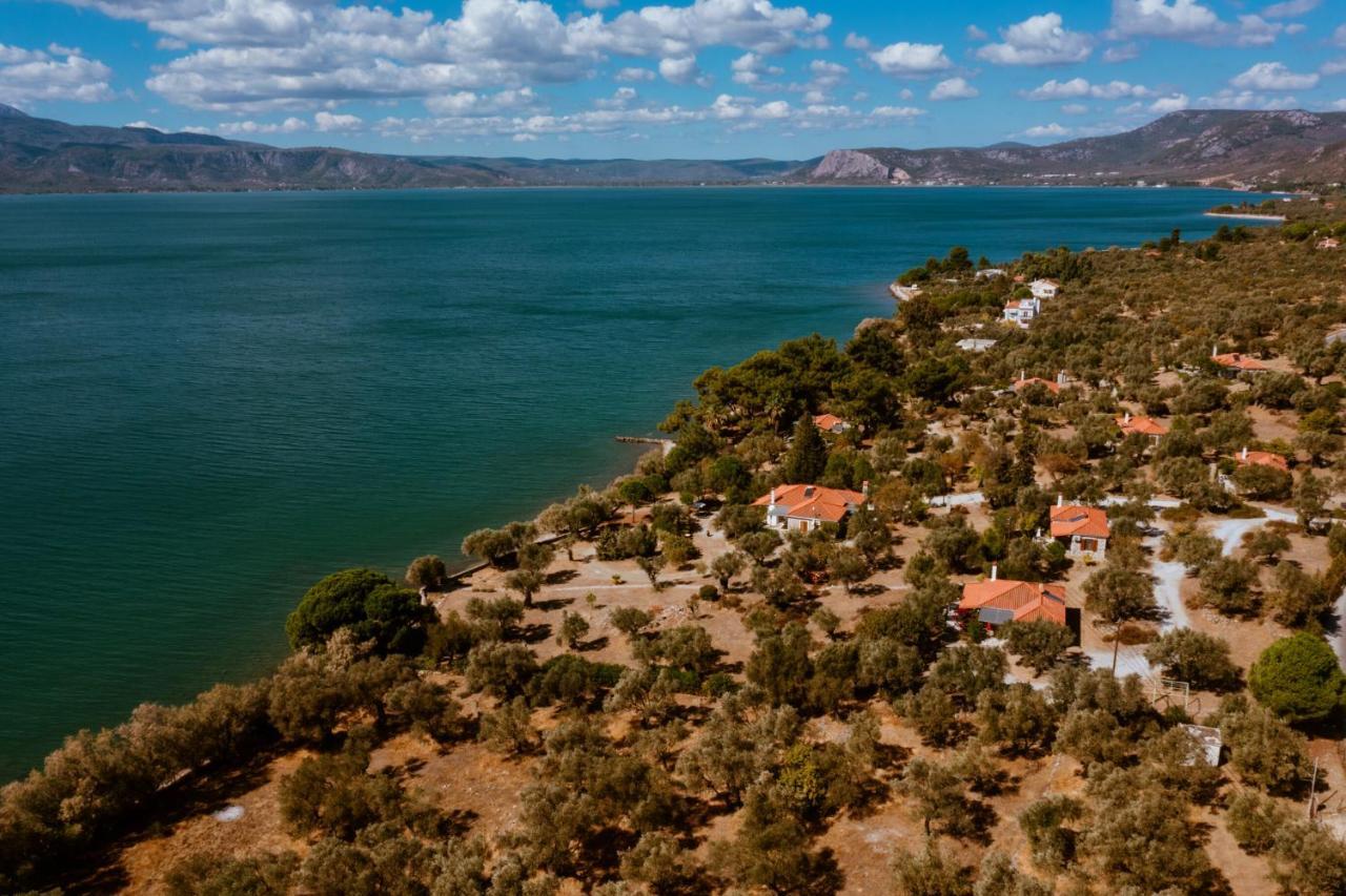 Seafront Traditional Stone House In Sunset Olive Grove - B Alyfanta Exteriör bild