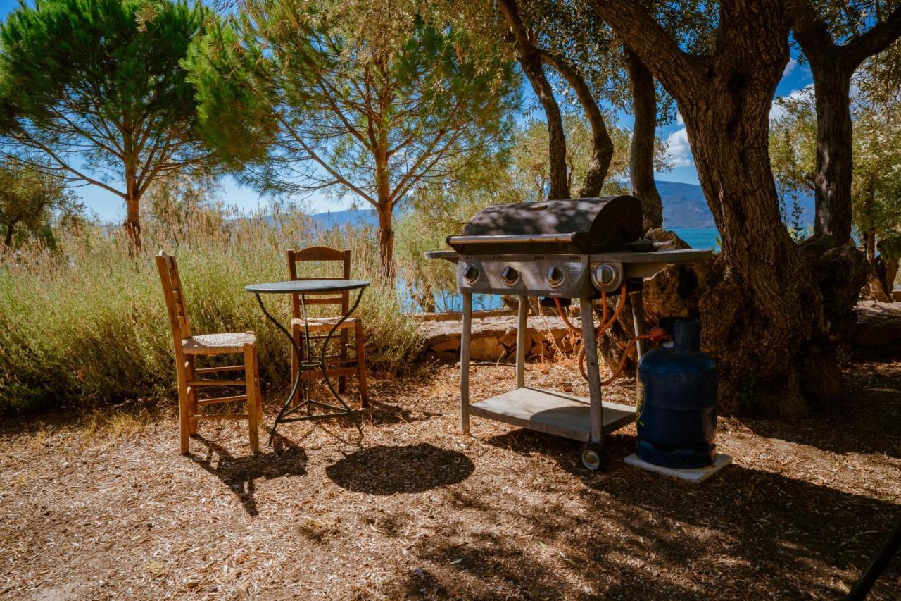 Seafront Traditional Stone House In Sunset Olive Grove - B Villa Alyfanta Exteriör bild